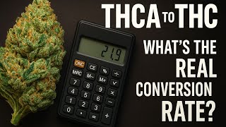 THCA to THC Conversion Explained | How Potency Really Works