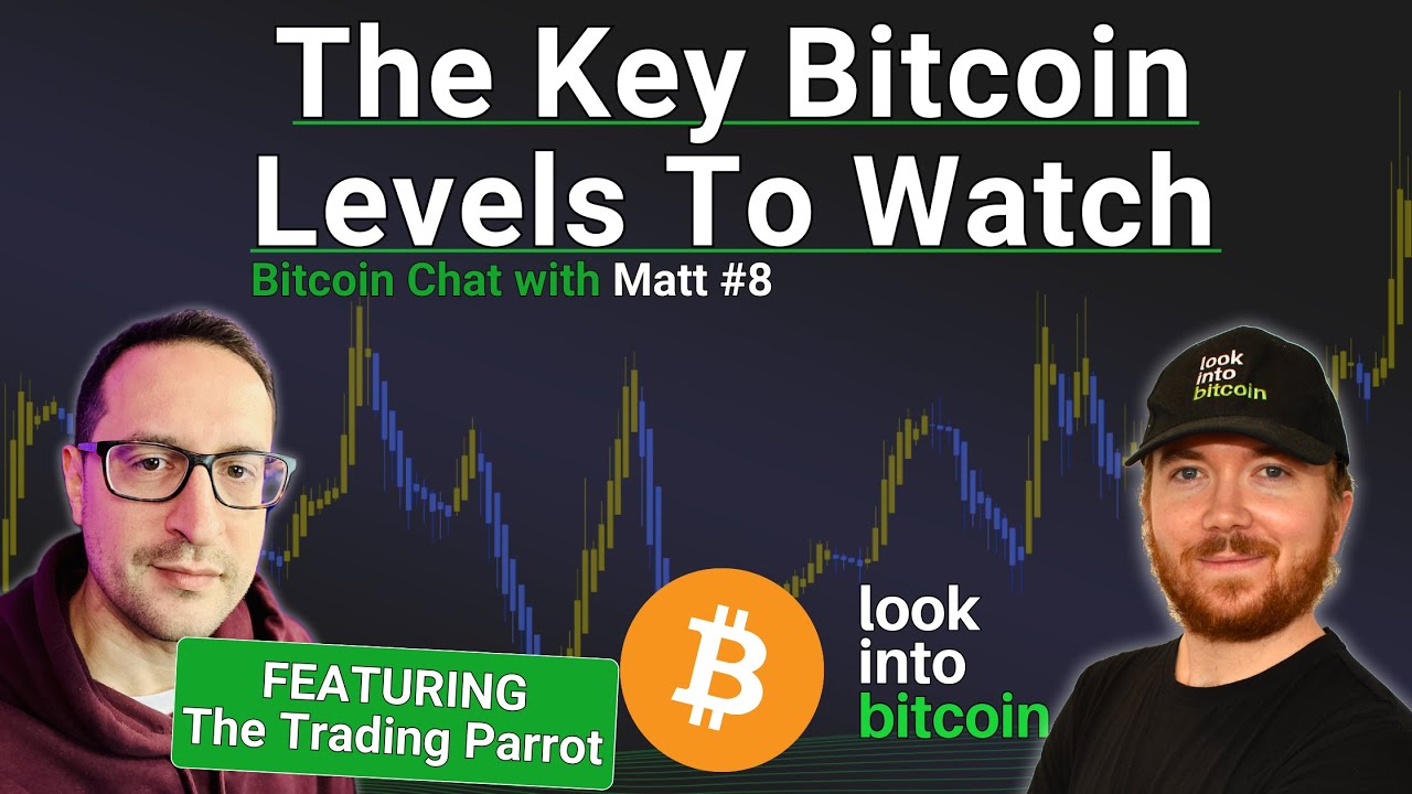 The Key Bitcoin Levels To Watch - Featuring The Trading Parrot - YouTube
