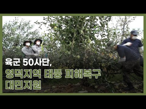 육군 <strong>50사단</strong>, 영덕지역 태풍 피해복구 대민지원