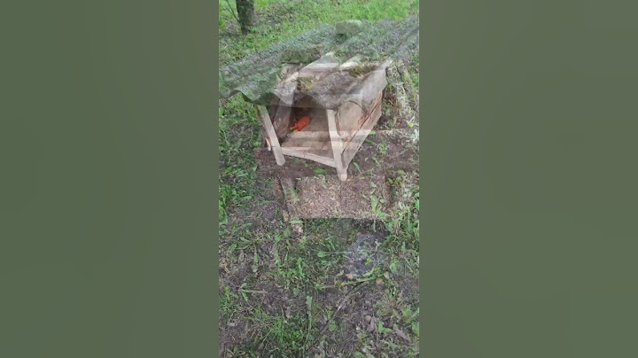 DIY Dog House from Trash in 20 Minutes