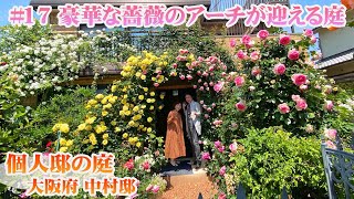 【お庭訪問 】第17回 アポなしロケ！で立ち寄った中村邸の圧巻のバラの庭に目を奪われる【個人邸】