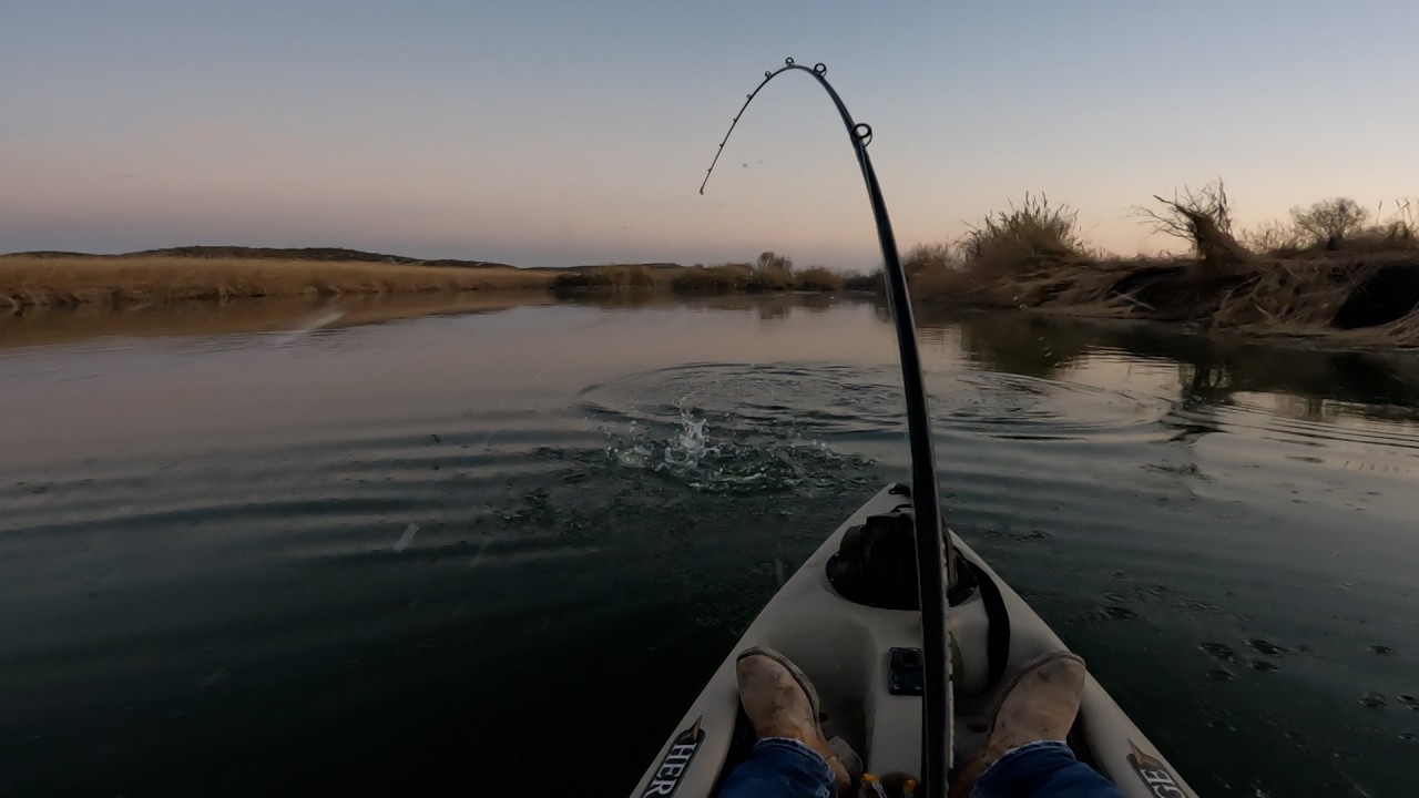 Excelente pesca de lobina en el rio bravo , Jiménez Coahuila