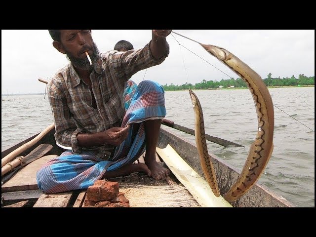 Amazing Baim Fishing Skill ! Baim Fish Catching By HookHD 2019 class=