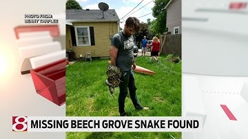 Missing Beech Grove snake found