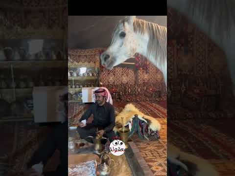 مهرة واقعة بحب صاحبها Shorts Viral Funny