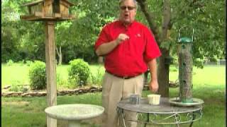 Birdman Mel tells you how to attract Cardinals to your backyard. Subscribe for updates at http://BirdFeederWeblog.com. For best 