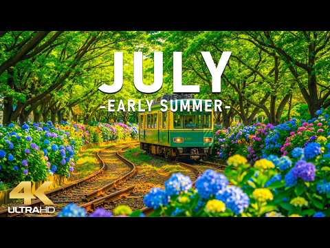Peaceful July 4K – Summer Awakening 🌿 Blooming Green Fields, Soft Breeze & Nature Calm