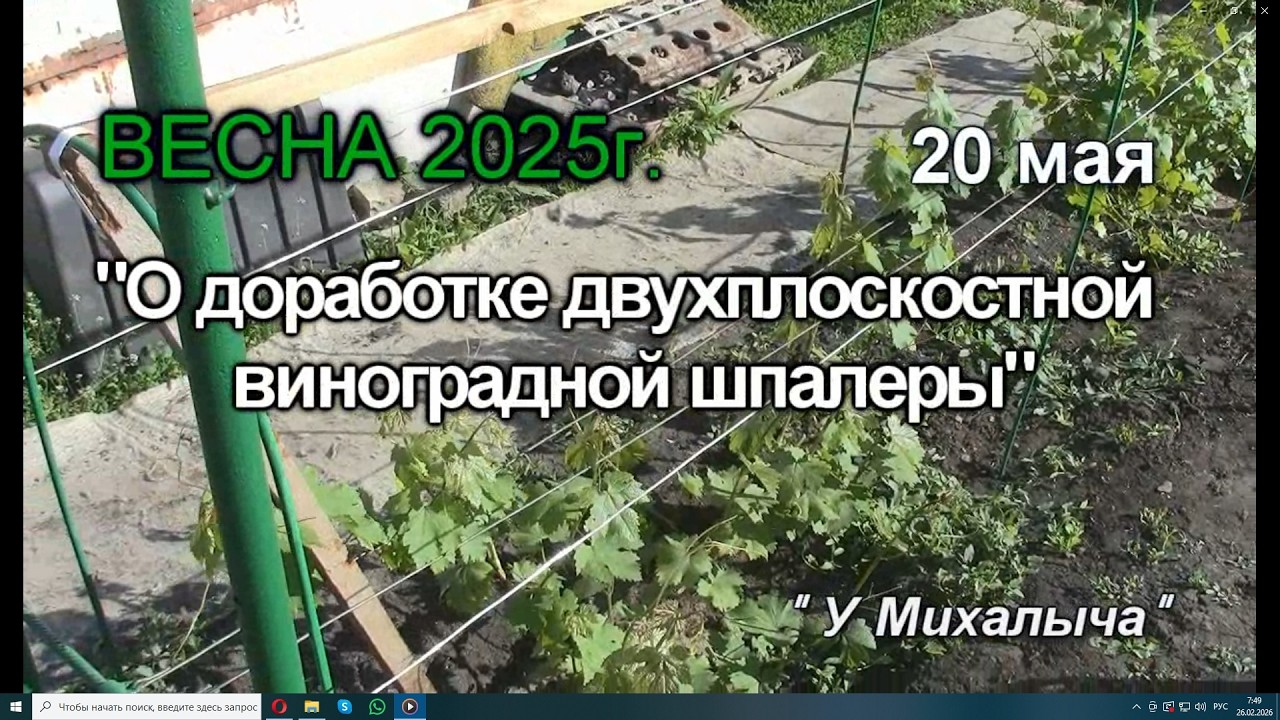 Весна  Май  О доработке виноградной шпалеры.
