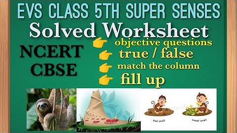 solved worksheet ।। super senses।। EVS class 5 ।। full explanation ।। NCERT।। CBSE।। ssc preparation