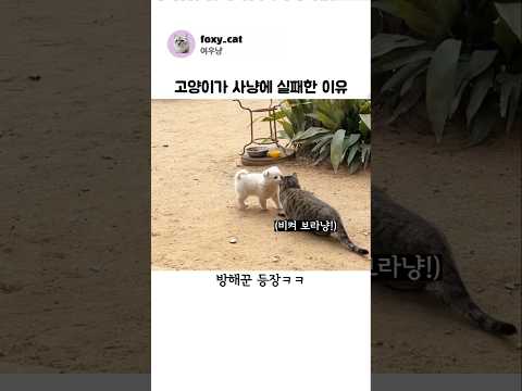 고양이가 사냥에 실패한 이유