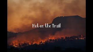 Celebrity Hot on the Trail - Steam Powered Giraffe (lyrics) Profile