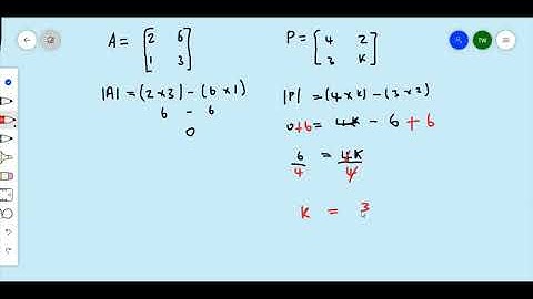 Singular Matrix - Timoy White