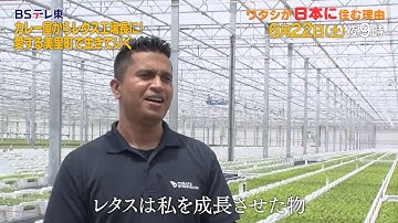 予告　ワタシが日本に住む理由「なぜ田舎町でレタス作り？父に振り回された爆笑人生」 | ＢＳテレ東