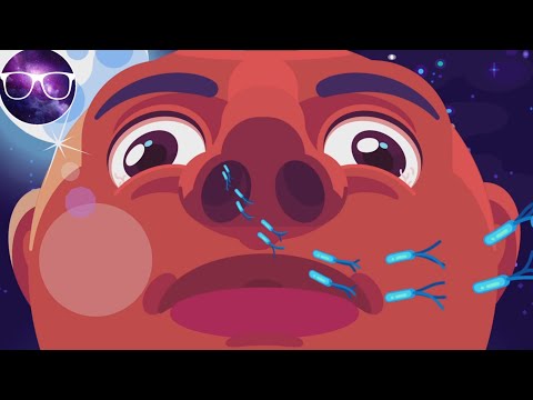 "You Are Immune Against Every Disease" by Kurzgesagt Reaction!