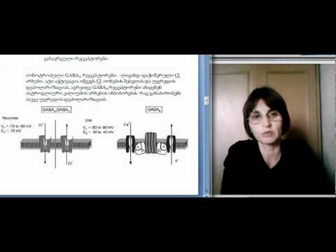 თ.ლორთქიფანიძე გლია-ნეირონი ლექცია 3.1