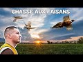 Chasse aux faisans sauvages (4K)