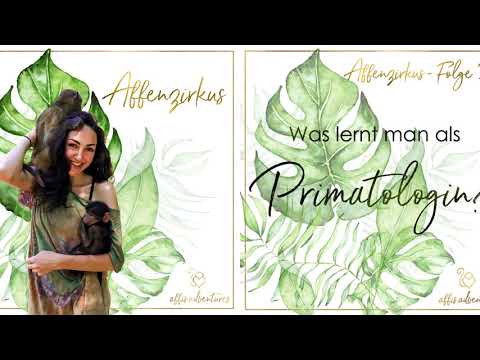 Affenzirkus - Was lernt man als Primatologin?