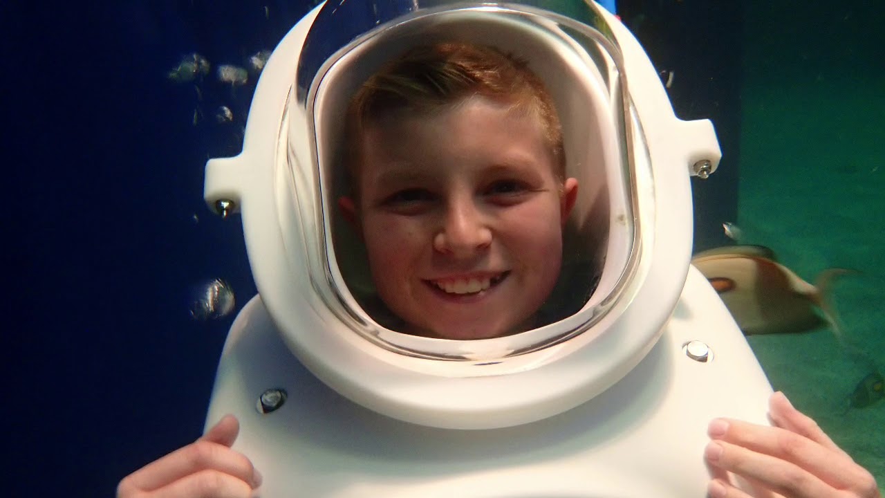 OdySea Aquarium Sea Trek