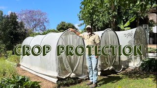 Limestone Permaculture Presents 'Crop Protection'