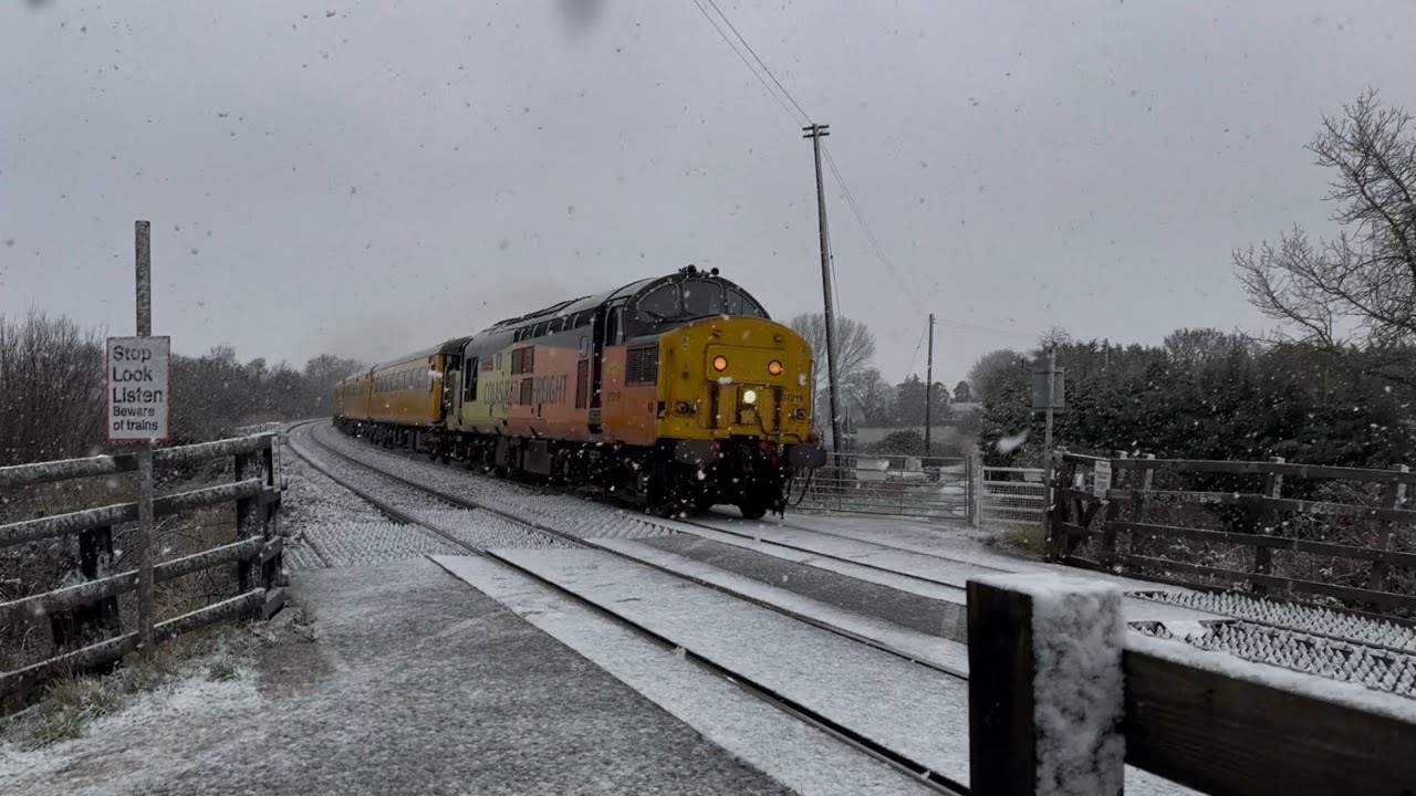 Winter 2025-26 compilation