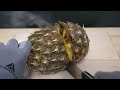 Download EXPERIMENT Glowing 1000 degree KNIFE VS MATCHES MP4 Video