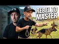 From troubled kid to elite high energy dog trainer!