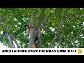 Auckland Ke Park Mein Ped Par Phas Gaya Ball 😅 | Everyday Vlog Day 01 | Life of a Software Intern NZ