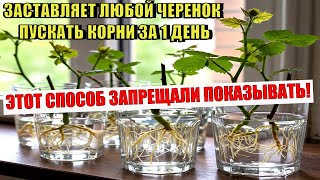:    !    1     .