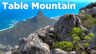 Table Mountain in Cape Town: 5 Tips For Your Visit