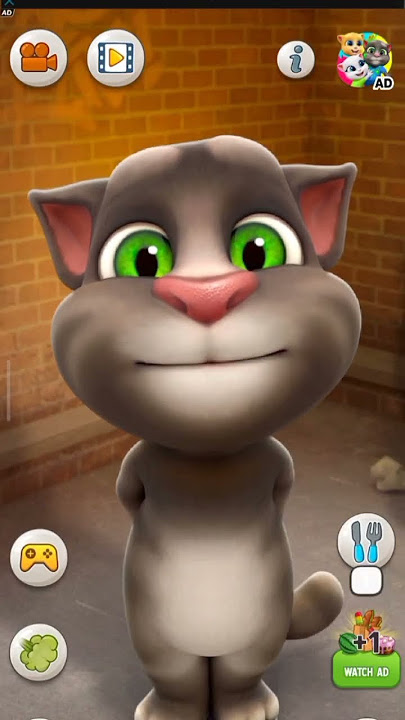 Talkingcat #shorts #video #talkingtom #amma #appa#akka #thambi #anna #talkingtom