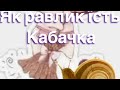 Як равлик їсть кабачок на ускорені
