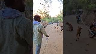 panna ki ta mana#song #like #censusduty#ruralvlog#subscribe