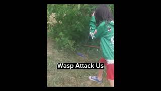 Wasp🐝 Attacked Us #short #wasp