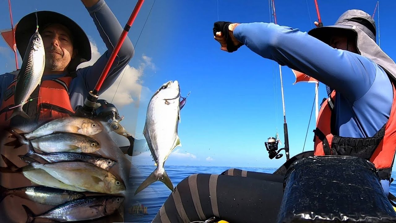 First try with Sabiki | Live bait & Light jigging fun with many catches in calm sea