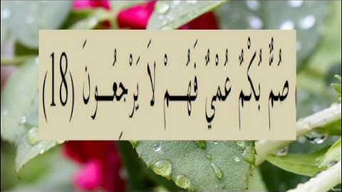 القران الكريم سورة البقرة الاية 18