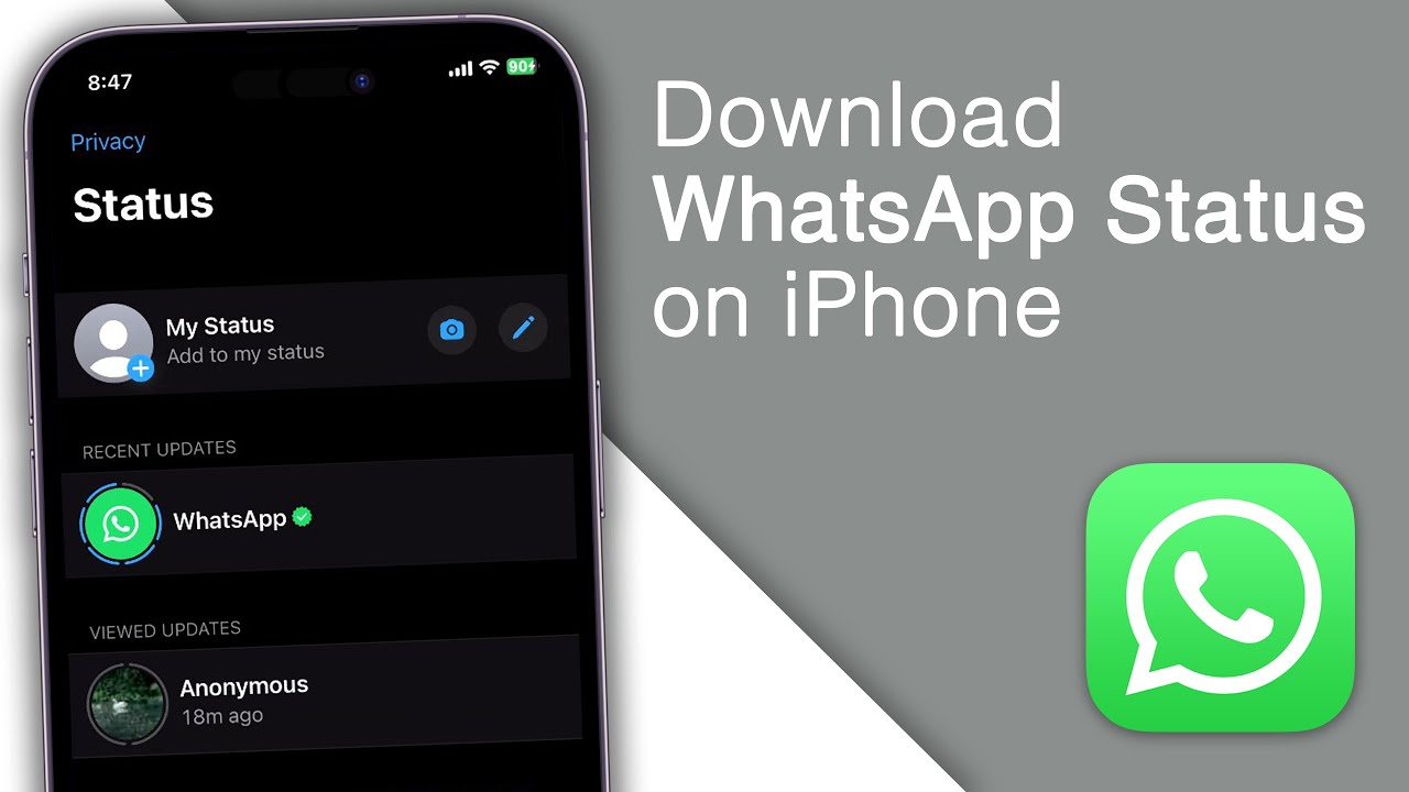How to DownloadSave WhatsApp Status on iPhone 2023