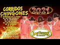 Mix Puros Corridos 2021  -  Los Tucanes De Tijuana Corridos