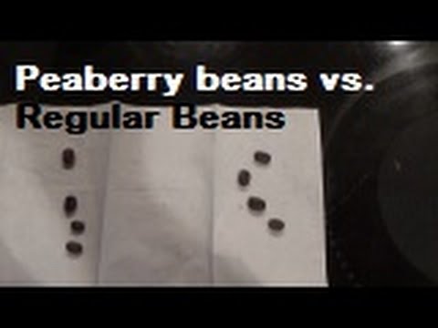 Peaberry vs. Traditional Coffee Beans