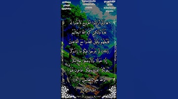 ولو أرادوا الخروج لأعدوا له عدة #سورة_التوبة #بدر_التركي #أحمد_طالب