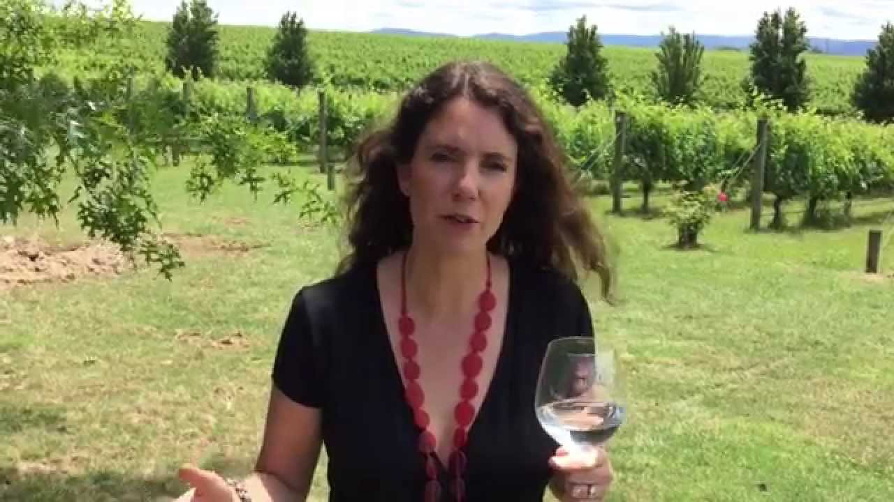 How To Make An Automatic YouTube Subscription Link - NEW!