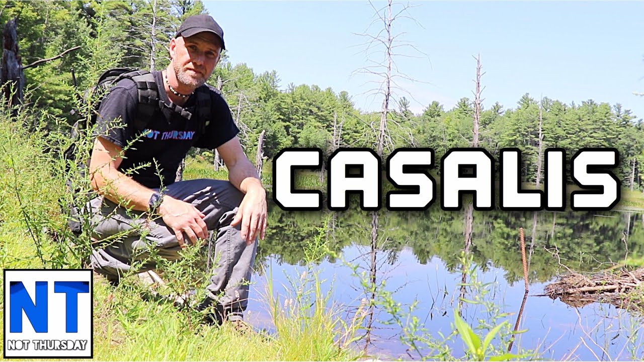 Hike & explore Casalis state forest Peterborough NH