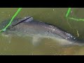 FISHING IN THE USA 🇺🇸 #fishing #viral #trending