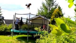 Trampoline BANGER Edit! [1620! Triple's! etc!]