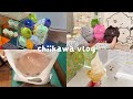 【ちい活vlog】ナガノマーケットGINZA 4/18 新商品|ちいかわオタクの日常|購入品紹介