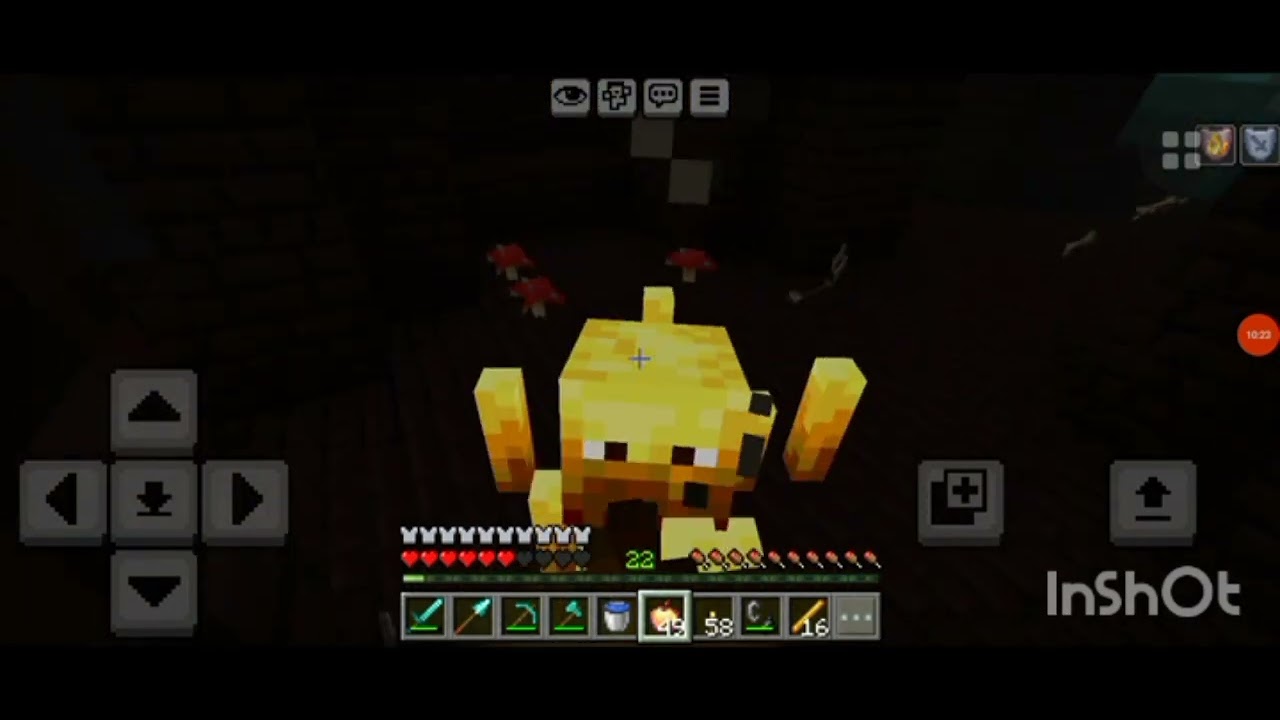 Mimecraft!!! — Transcript