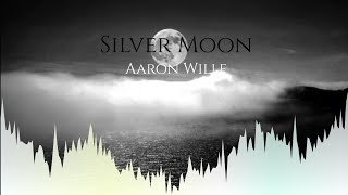 Silver Moon🌑 - New Singel