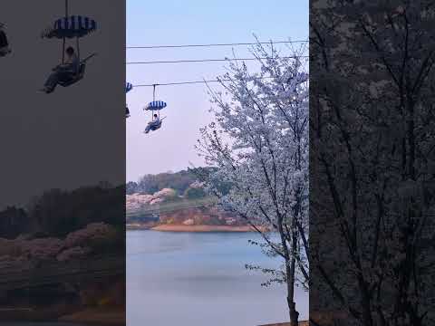 Seoul Grand Park