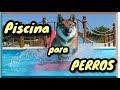 PISCINA DE PERROS!! Disfrutando del Verano - TRUST RESORT