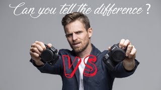 Canon M50 Vs Canon RP Epic Battle! 📷