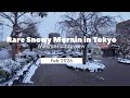 Snowfall in Tokyo